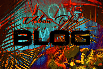 BLOG 3 - REFLECT MODE